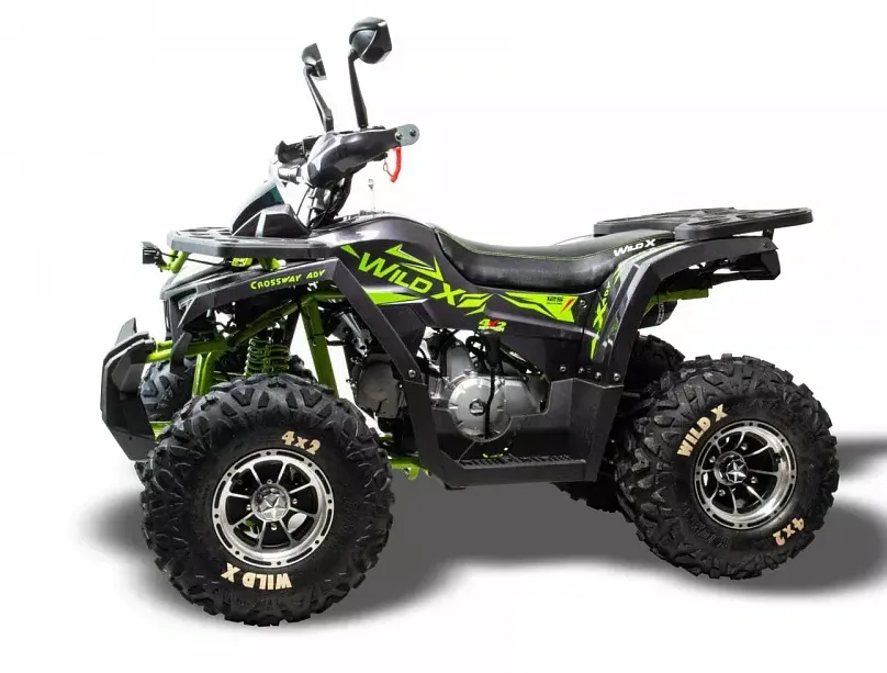 Квадроцикл MOTOLAND 125 Wild X PRO